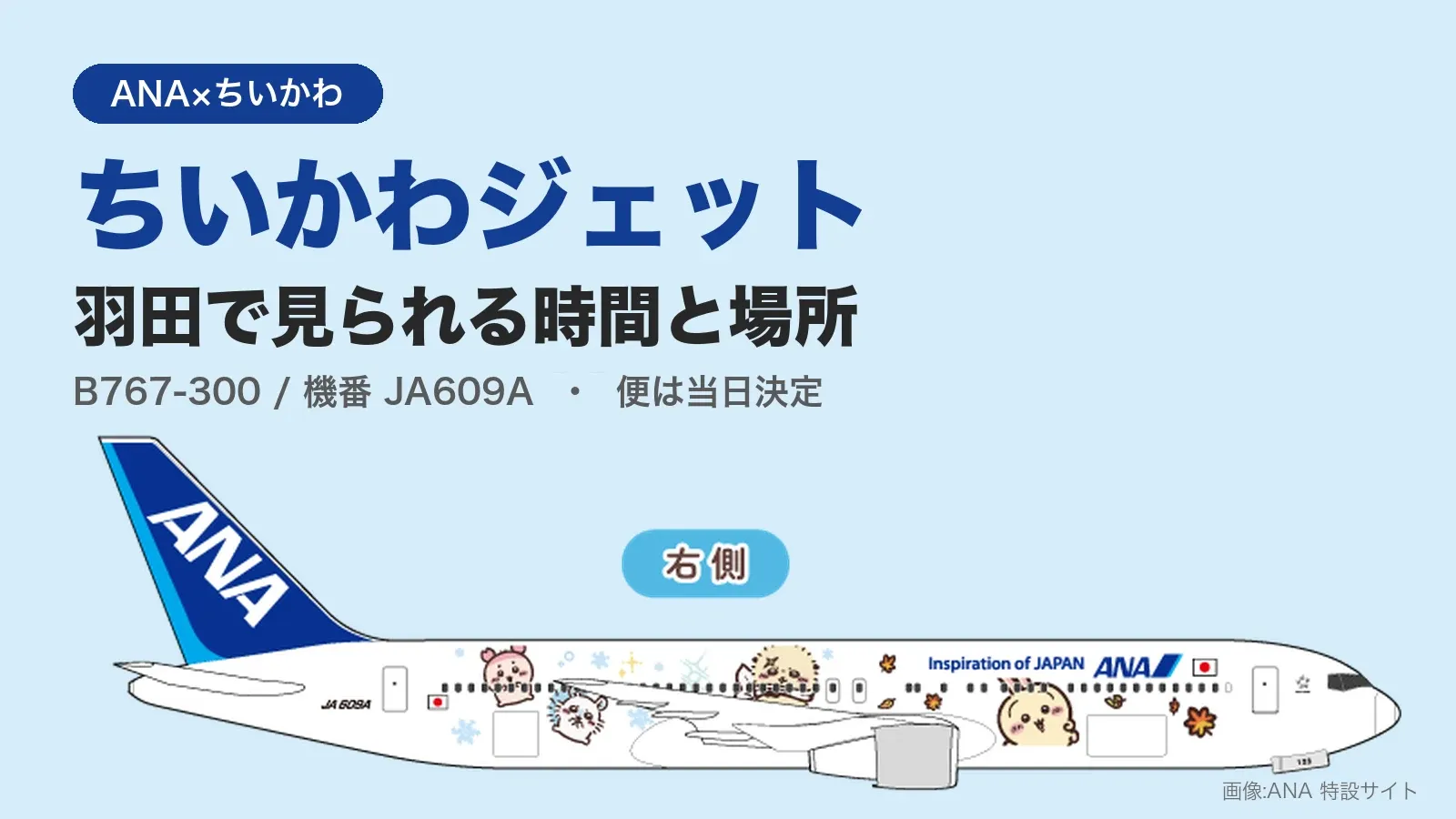 ANAのちいかわジェットが就航、羽田空港で見られる時間と場所まとめ